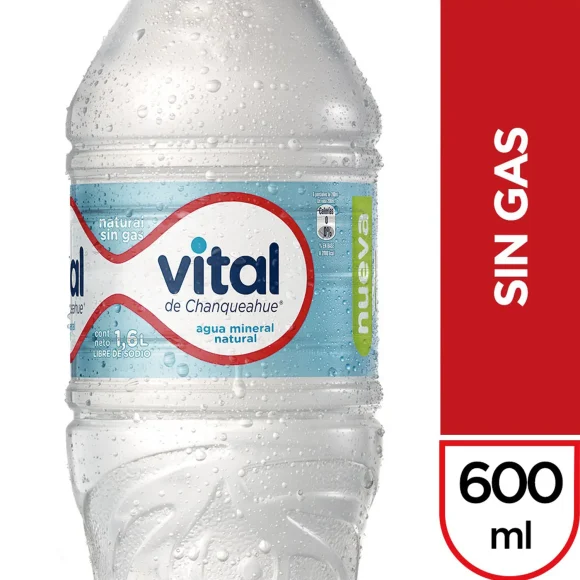 AGUA VITAL SIN GAS 600 ml