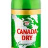 BEBIDA CANADA DRY 3 LT DESECHABLE